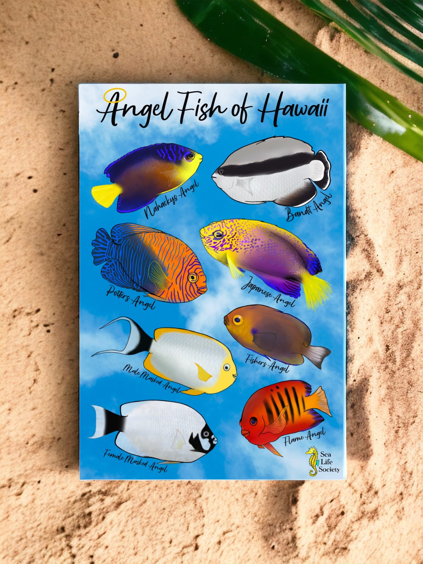 Angel Fish of Hawaii Sticker Sheet