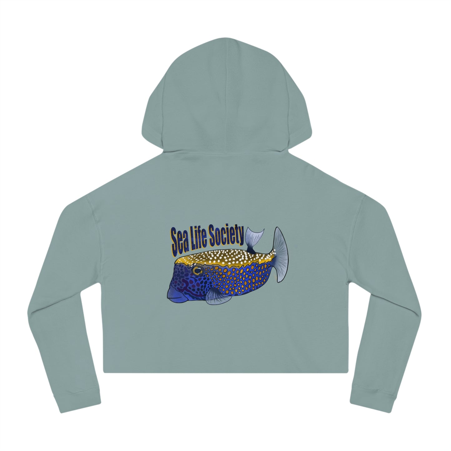 Box Fish Cropped Hooded Sweatshirt