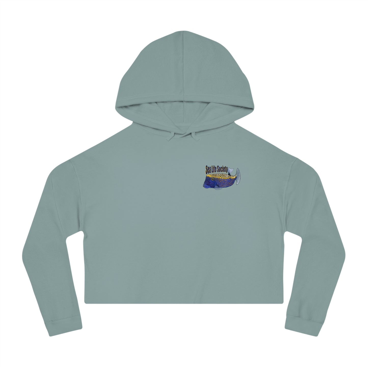 Box Fish Cropped Hooded Sweatshirt