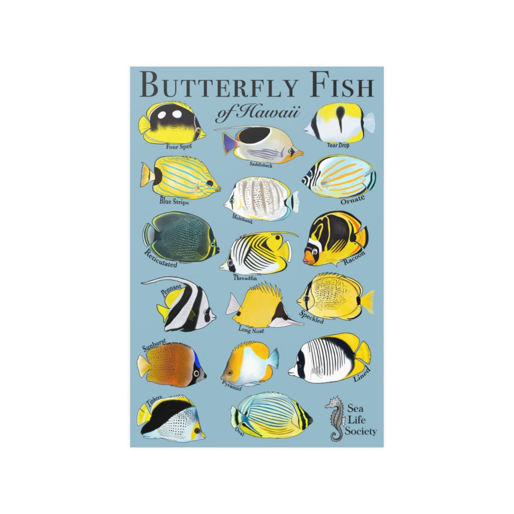 Large Butterfly Fish Poster